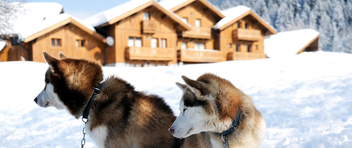 things to do in meribel - husky riding